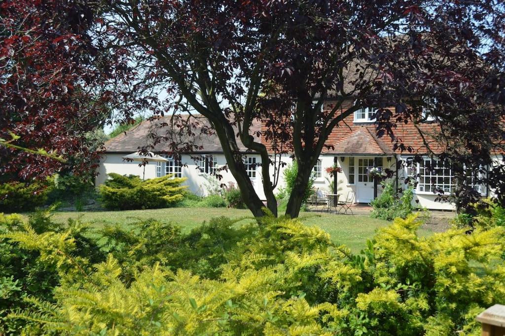 פברשהאם The Willow Studio - Peaceful Retreat Near Whitstable Seaside מראה חיצוני תמונה